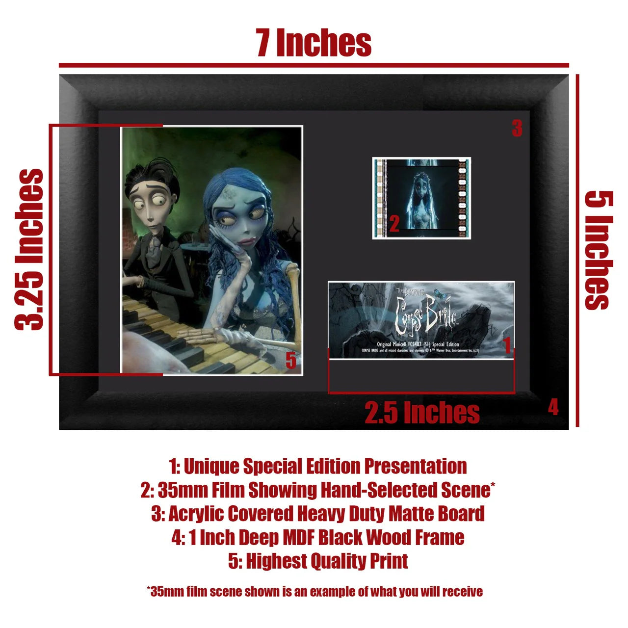Tim Burtons Corpse Bride (Keyboard) Minicell FilmCells Framed Desktop Presentation