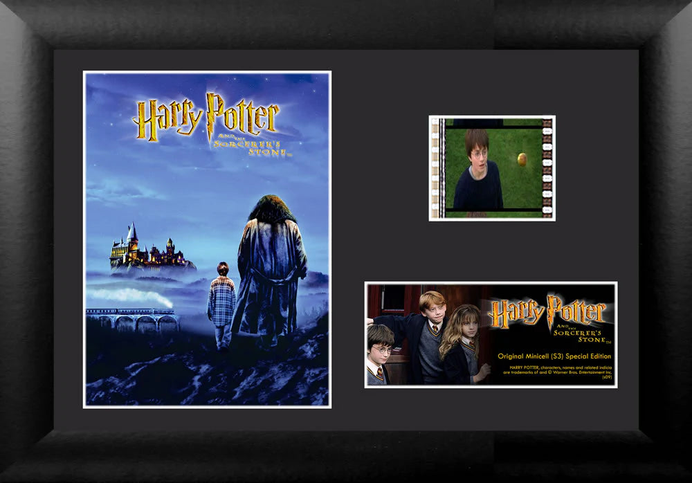 Harry Potter and the Sorcerers Stone (Hagrid) Minicell FilmCells Framed Desktop Presentation