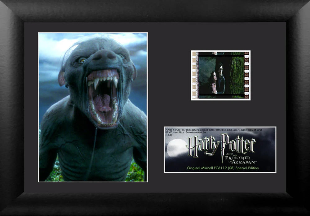 Harry Potter and the Prisoner of Azkaban (Werewolf) Minicell FilmCells Framed Desktop Presentation